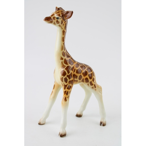 198 - Beswick Baby Giraffe 853.