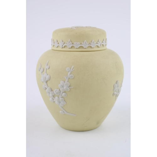 328 - Wedgwood Prunus Primrose ginger jar, 10cm tall.