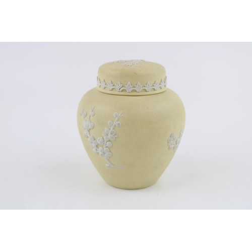 328 - Wedgwood Prunus Primrose ginger jar, 10cm tall.