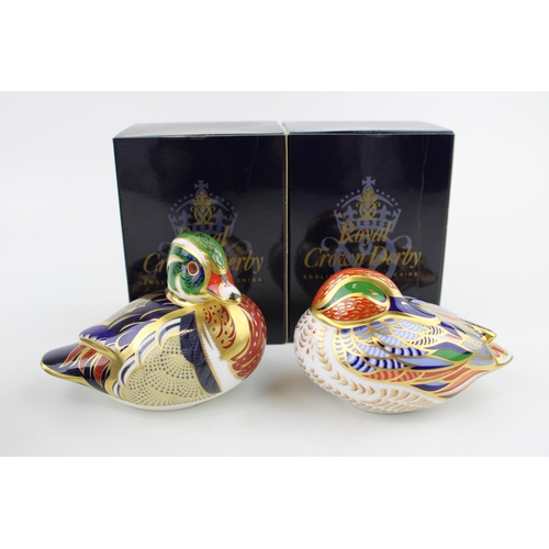 35 - Boxed Royal Crown Derby paperweights, Teal and a Carolina, first quality with gold stoppers (2).