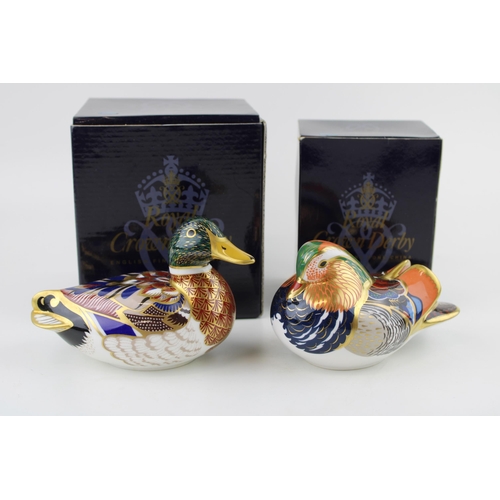 36 - Boxed Royal Crown Derby paperweights, Mandarin and a Mallard, first quality with gold stoppers (2).