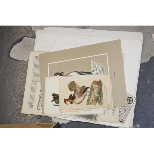 401 - A selection of 19th and 20th century loose leaf prints and etchings mostly on subjects 'Horses', 'Ho... 