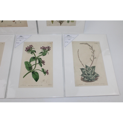 403 - A selection of late 18th early 19th and 20th century mounted colour prints and etchings mostly on su... 