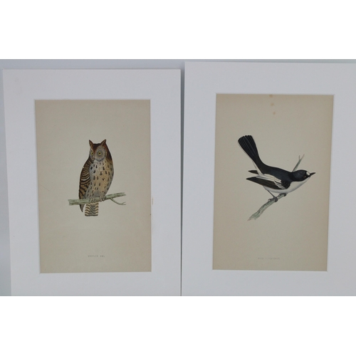 404 - A selection of 19th and 20th century mounted colour prints and etchings mostly on subjects 'Birds'. ... 