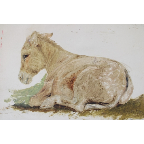 420 - An original c19th study of a reclining donkey signed Phil R Morris ARA dated 1863 circle of Philip R... 