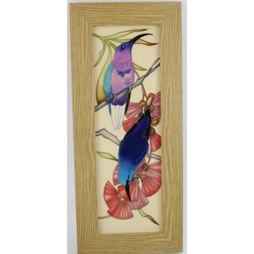 78 - Moorcroft framed plaque of Hummingbirds, trial piece, dated 2016, golden oak, 36cm tall.