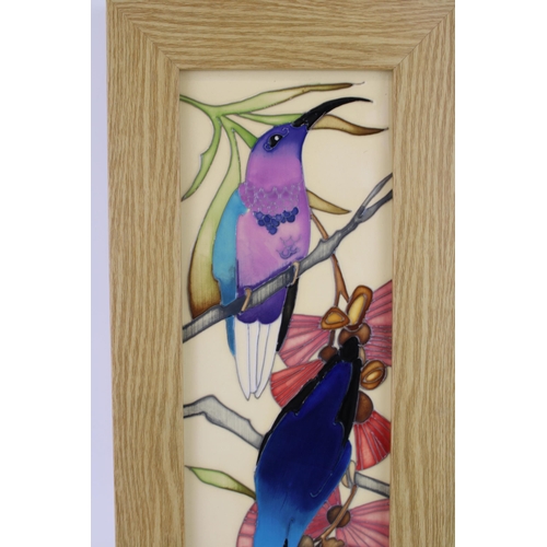 78 - Moorcroft framed plaque of Hummingbirds, trial piece, dated 2016, golden oak, 36cm tall.