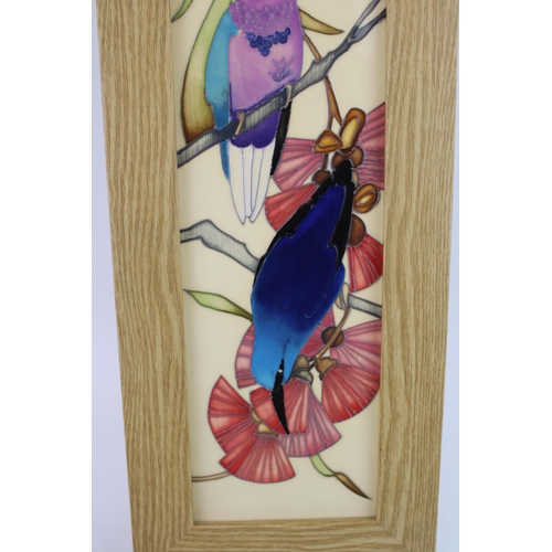 78 - Moorcroft framed plaque of Hummingbirds, trial piece, dated 2016, golden oak, 36cm tall.