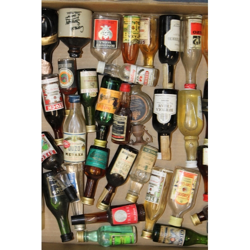 169 - A large collection of Miniature Spirits, Liqueurs to include gin, Bols, Tequila, Sherry, Brandy, Cog... 