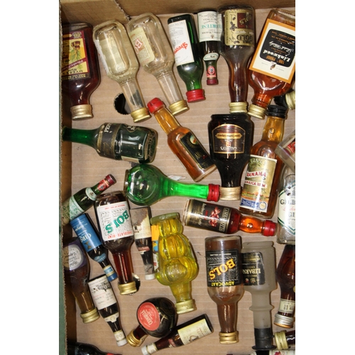 171 - A large collection of Miniature Spirits, Liqueurs to include gin, Bols, Tequila, Sherry, Rum etc