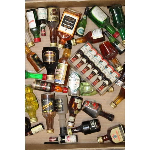 171 - A large collection of Miniature Spirits, Liqueurs to include gin, Bols, Tequila, Sherry, Rum etc