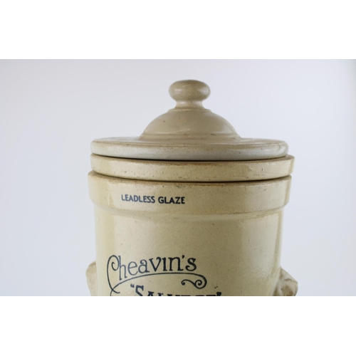 37 - A Cheavin`s 'Saludor' (Safe Water) Stoneware Water Filter. Height 46cm.