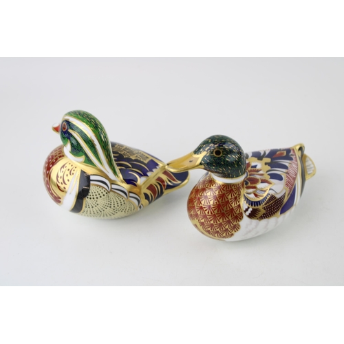 120 - Royal Crown Derby paperweight, Mallard, 15cm long, date code for 2003 (MMIII) and a Carolina Duck, s... 