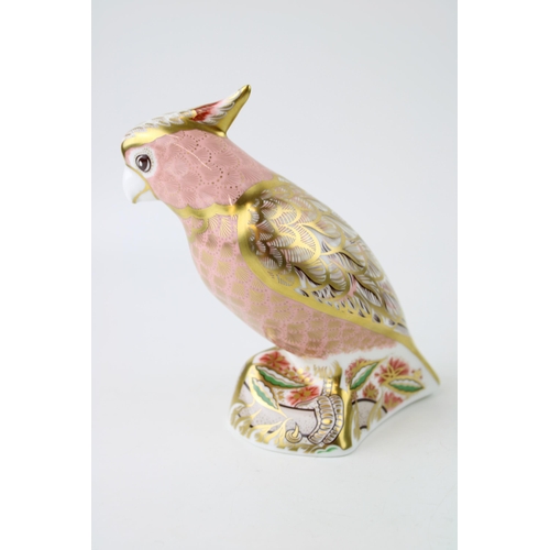 131 - Royal Crown Derby paperweight, Cockatoo, 13cm, this is number 365 of a specially commissioned limite... 