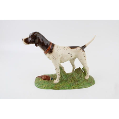 134 - Royal Doulton model of a Pointer,RDA15, from the Gundog collection, 17cm tall.