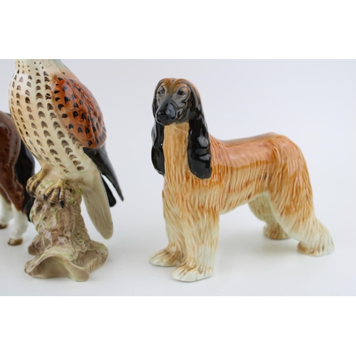 192 - A Beswick Kestrel together with 'Hajubah of Davlen' Afgan Hound and a Pinto Skewbald Pony. (3) Heigh... 