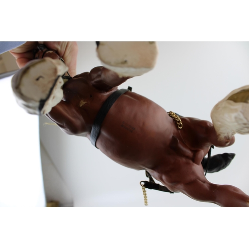 228 - Beswick matte brown large action shire in leather tack.