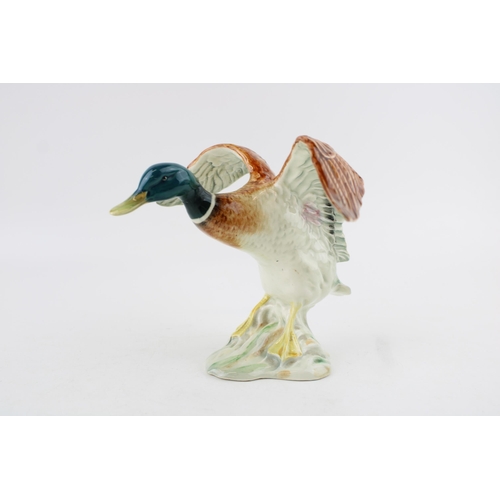 235 - Beswick Settling Mallard 750 (repaired neck).