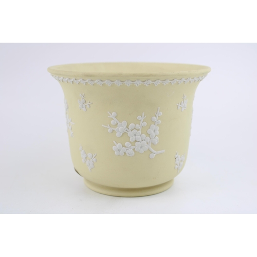 30 - A Wedgwood Jasperware jardiniere in Prunus Primrose Yellow. Height 11cm, diameter 15cm.