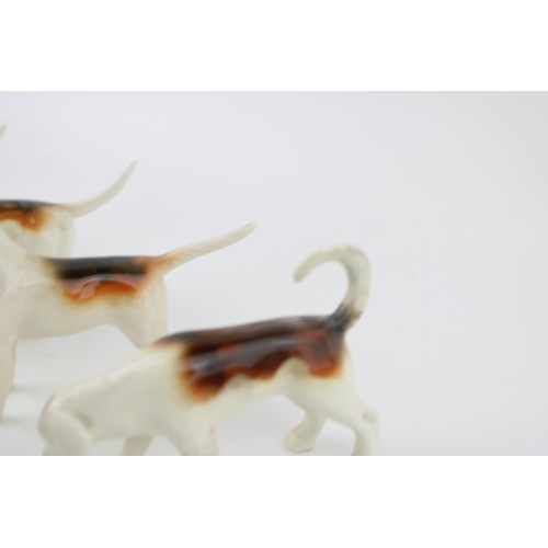 243 - Beswick to include 6 Foxhounds of varying models and a fox (7).