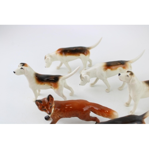 243 - Beswick to include 6 Foxhounds of varying models and a fox (7).