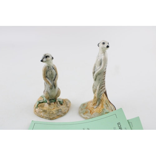 244 - Two Beswick Meerkats, limited edition, with certificate.