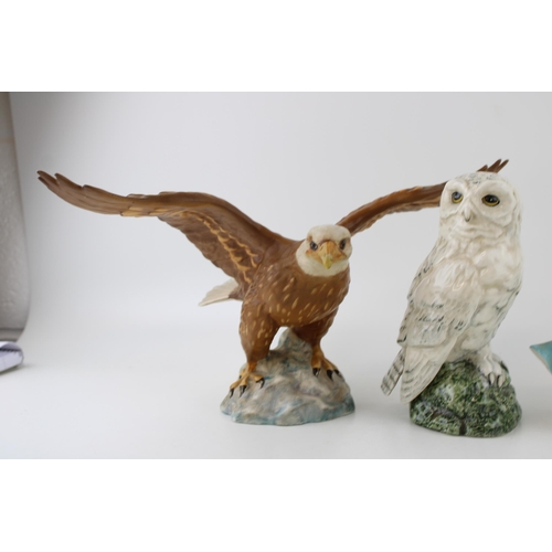 247 - A collection of Beswick birds to include 1018 Bald Eagle in matt glaze, Snowy Owl and Buzzard both '... 