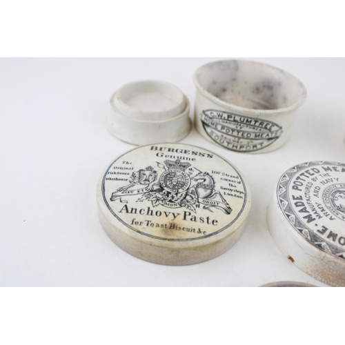 279 - A collection of antique pot lids to include 'Burgess's Anchovy Paste', 'Home Made Potted Meats' and ... 