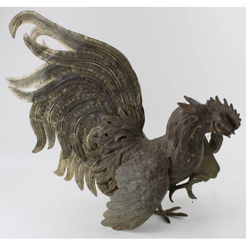 338 - A cast metal sculpture of a fighting cock / of cock fighting interest. Height 38cm.