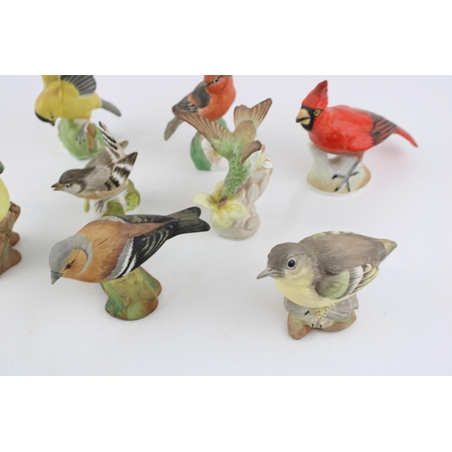 81 - A collection of Crown Staffordshire birds to include a Cardinal, a Flycatcher, a Chaffinch, a Grey W... 