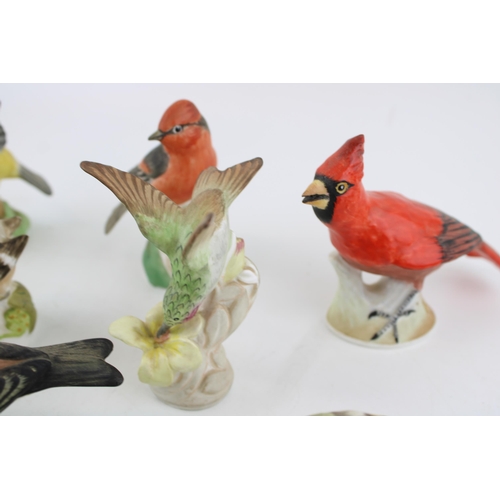 81 - A collection of Crown Staffordshire birds to include a Cardinal, a Flycatcher, a Chaffinch, a Grey W... 