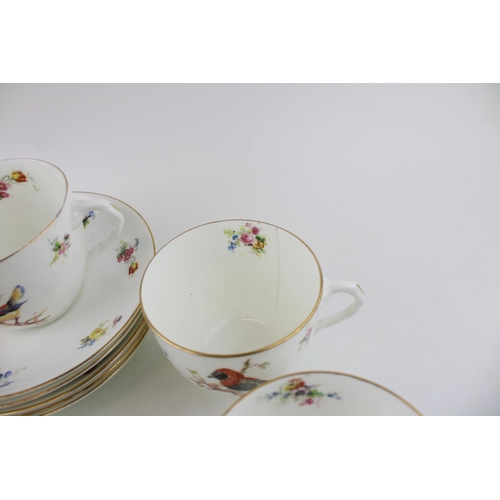 169 - Royal Doulton 'Exotic Bird' pattern cups and saucers. (12)