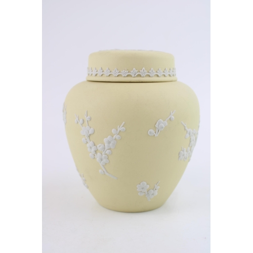 284 - Wedgwood Jasperware ginger jar and cover in Prunus / Primrose colour, 13.5cm tall.