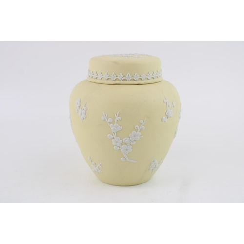 284 - Wedgwood Jasperware ginger jar and cover in Prunus / Primrose colour, 13.5cm tall.