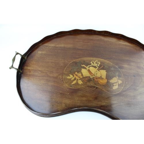 338 - An Edwardian satinwood serving tray with inlaid design and brass handles. Width 67cm, height 40cm.