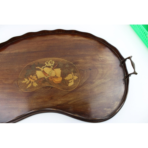 338 - An Edwardian satinwood serving tray with inlaid design and brass handles. Width 67cm, height 40cm.