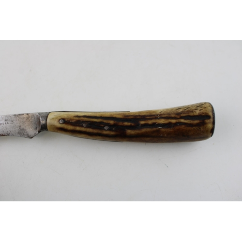 1 - Scarce late c19th Victorian Saynor Cooke & Ridal Sheffield stag antler bone handle flat cap pruner p... 