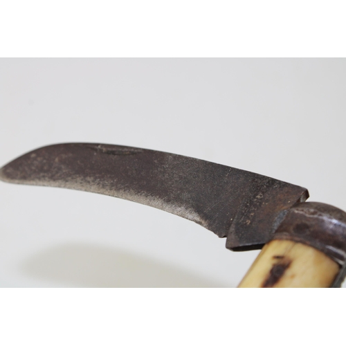 15 - c19th Saynor Obtain warranted Sheffield made flat cap bone handle pruner pruning folding pocket knif... 