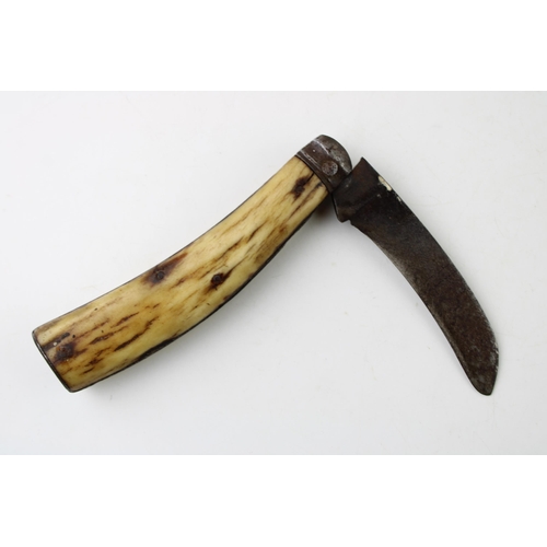 15 - c19th Saynor Obtain warranted Sheffield made flat cap bone handle pruner pruning folding pocket knif... 