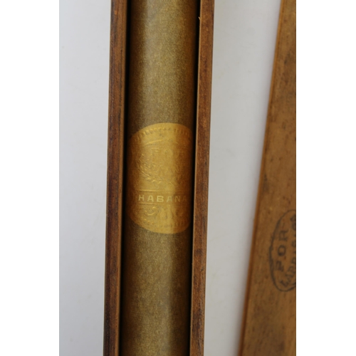 18 - A rare Cuban Por Larranaga Habana cigar in original wooden presentation box stamped 'Menocales' and ... 