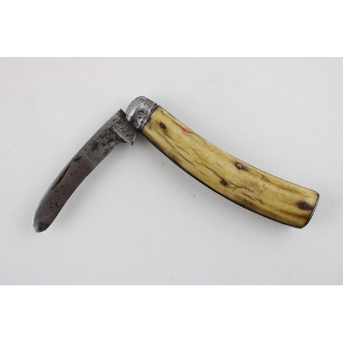 4 - Late c19th Victorian Saynor Obtain Sheffield bone handle flat cap folding pocket knife c1890