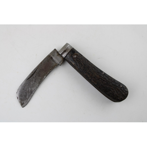 8 - A scarce Farmer Colchester marked Sheffield made bone handle pruner pruning Pocket knife c1900.