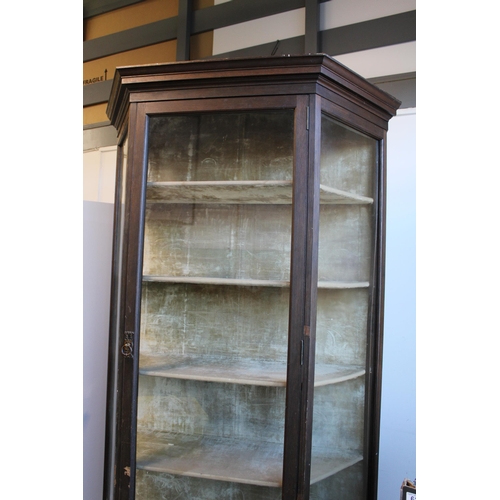 32C - Victorian glazed display cabinet, raised on four-leg support, velvet lined interior, four shelves pl... 