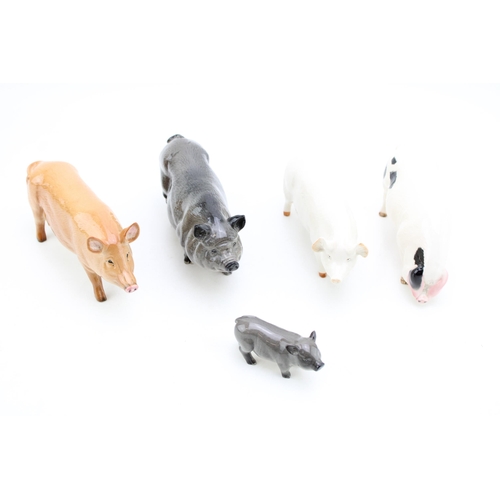 10 - A collection of Beswick pigs to include a Gloucester Old Spot, a Tamworth, a White Boar and two othe... 