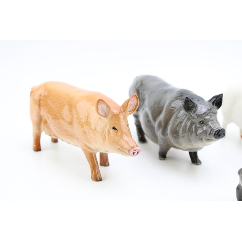 10 - A collection of Beswick pigs to include a Gloucester Old Spot, a Tamworth, a White Boar and two othe... 