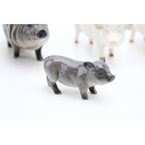 10 - A collection of Beswick pigs to include a Gloucester Old Spot, a Tamworth, a White Boar and two othe... 