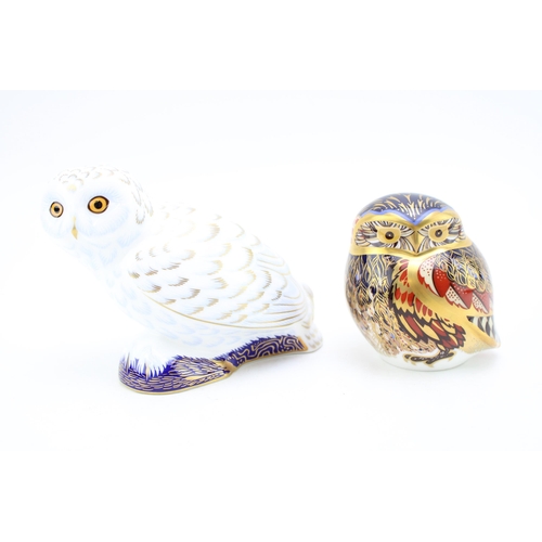 104 - Two Royal Crown Derby paperweights, Snowy Owl, an exclusive for the Royal Crown Derby Collectors Gui... 