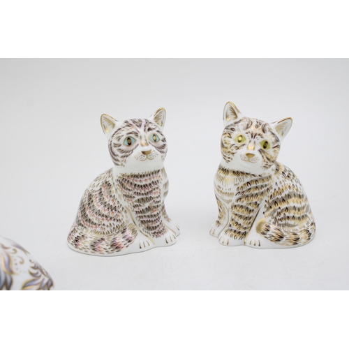 107 - Two Royal Crown Derby kitten paperweights, Thomas and Tabitha, both 7.5cm high and part of a limited... 