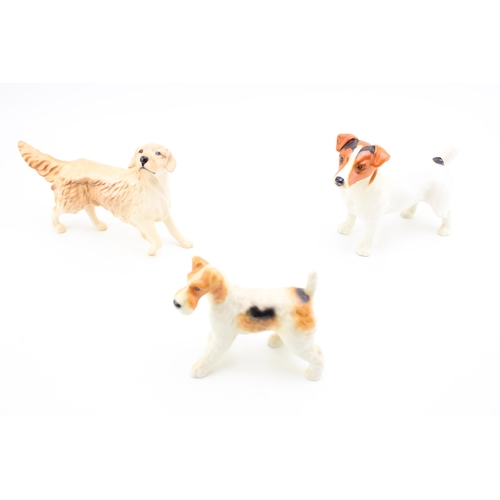 15 - Beswick large dogs to include a Jack Russell, a Sealyham Terrier and a Golden Retriever (3).