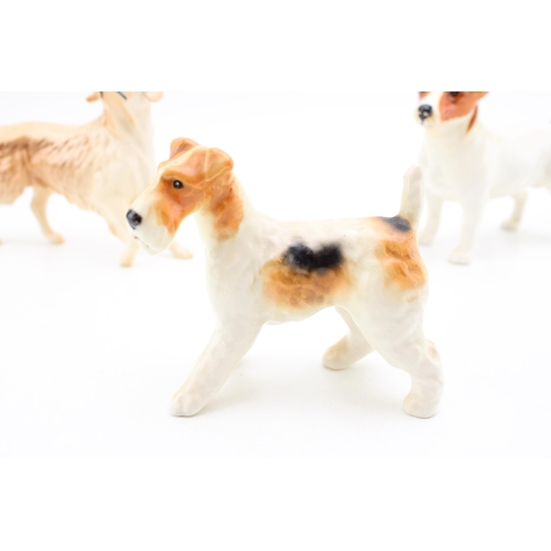 15 - Beswick large dogs to include a Jack Russell, a Sealyham Terrier and a Golden Retriever (3).